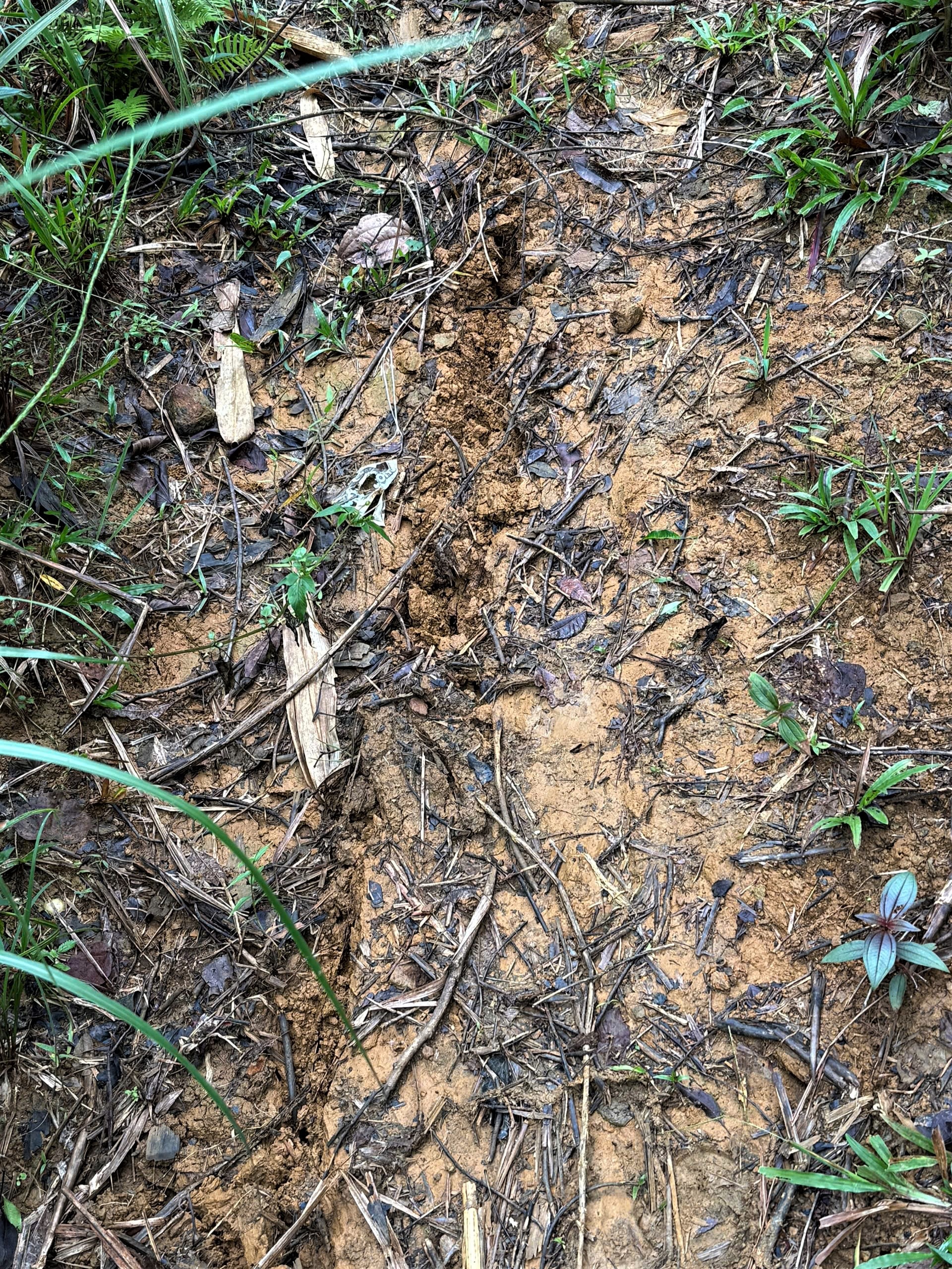 4091261764481172954 (1)