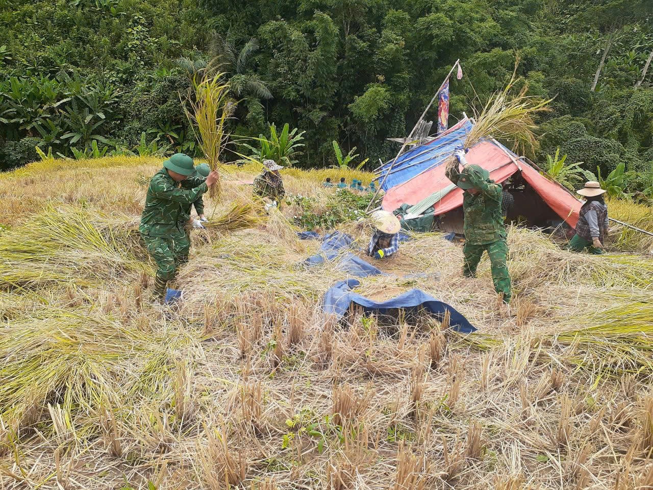 حرس الحدود LA E 2