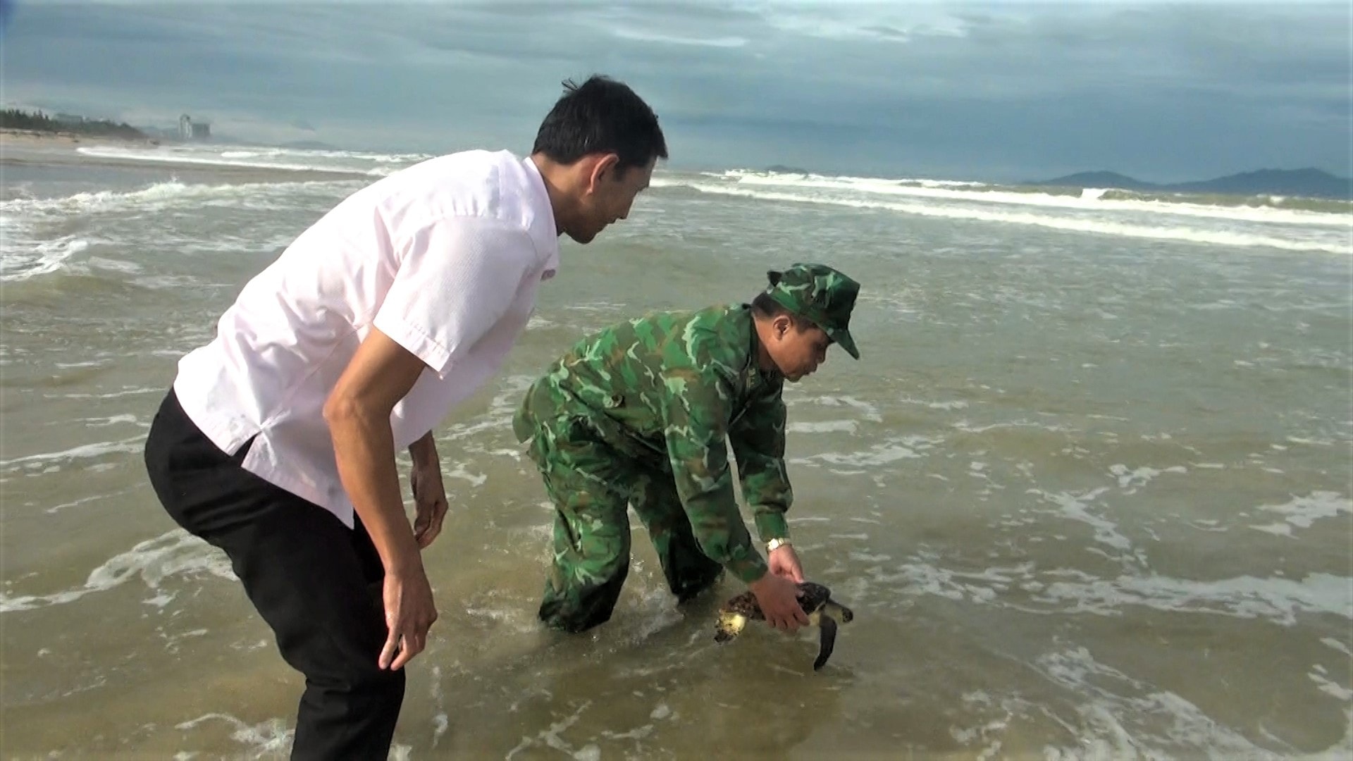 tha dong vat hoang da.00_00_30_13.Still001 (1)