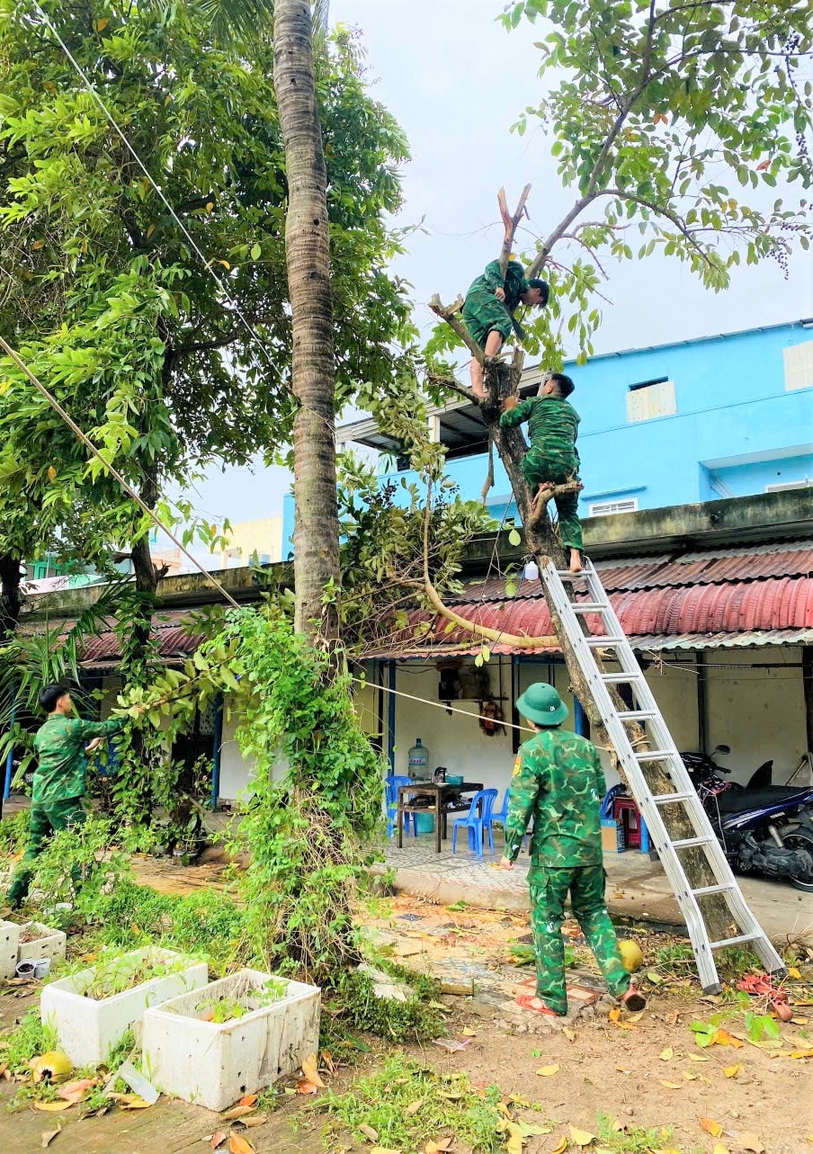 4378733293279884618 (1)