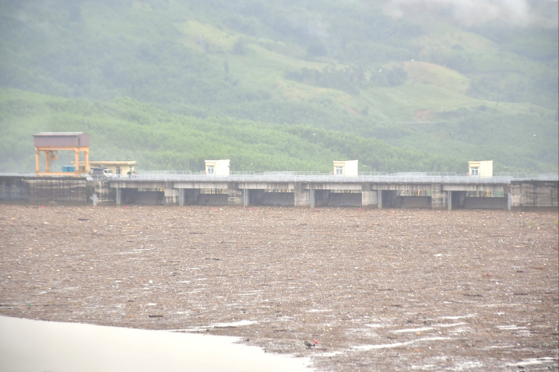 ດ້ານຂອງເຂື່ອນໄຟຟ້າຫຼັກ 2 ແມ່ນປົກຄຸມດ້ວຍຟືນ ແລະ ຂີ້ເຫຍື້ອ. ພາບ: NGUYEN BINH