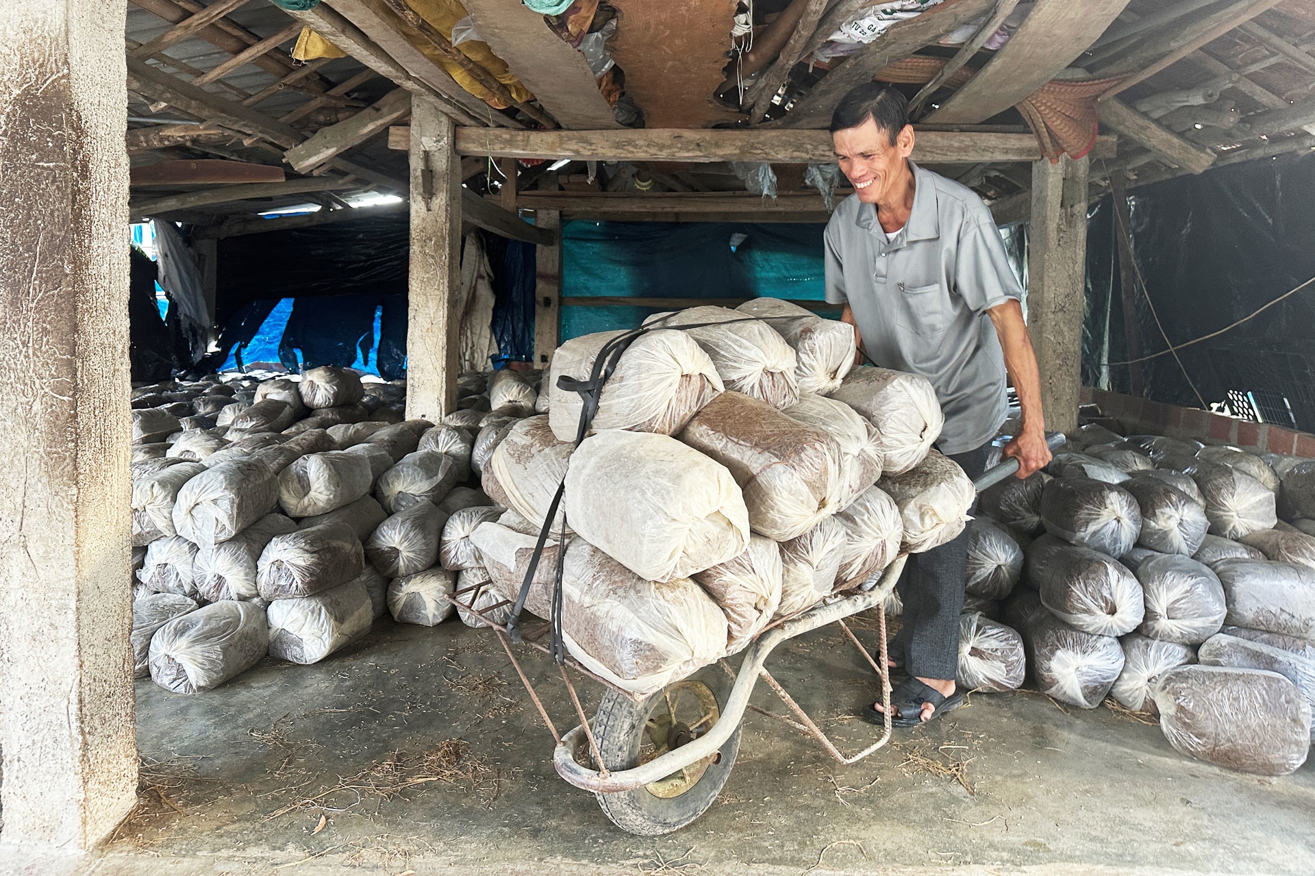 លោក Huynh Toan នៅឃុំ Thang Phu បានបង្កើតគំរូផលិតកម្មផ្សិតចំបើងអស់រយៈពេលជាច្រើនឆ្នាំ។