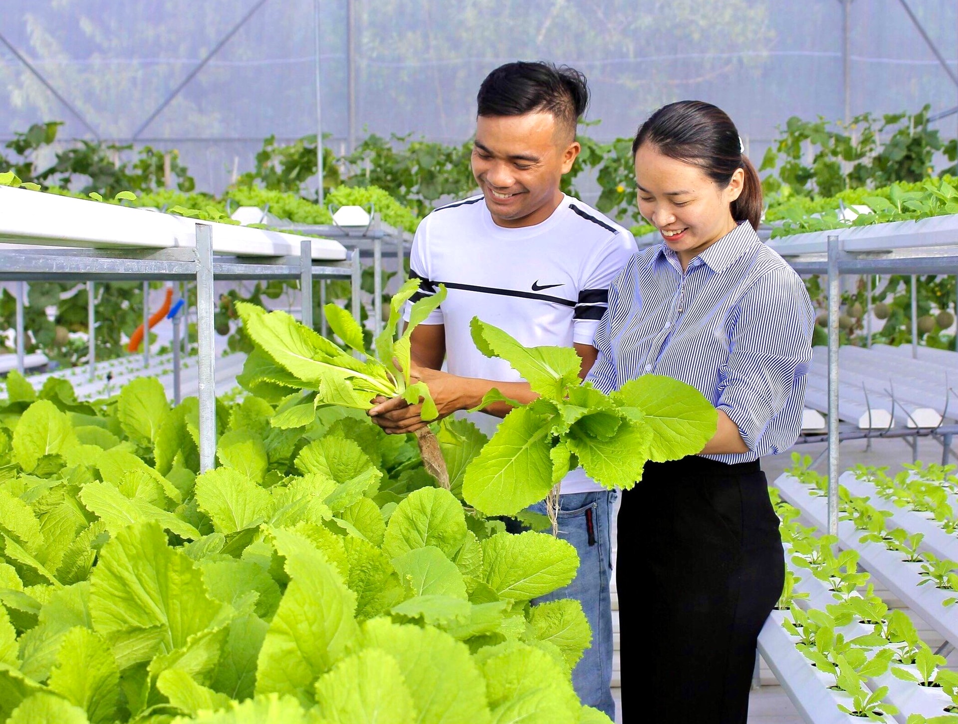 Cấp thiết khôi phục sản xuất nông nghiệp thành phố Đà Nẵng. Ảnh: QUANG VIỆT