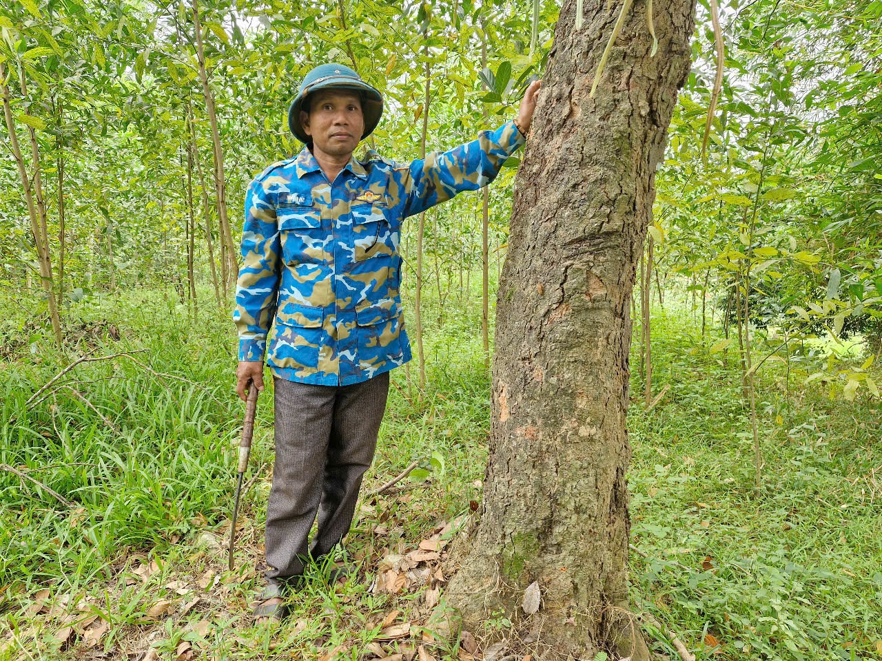 Ông Kaphu Ben mạnh dạn chuyển đổi cây trồng kém hiệu quả để đầu tư gần 7ha rừng gỗ lớn. Ảnh: HỮU ANH