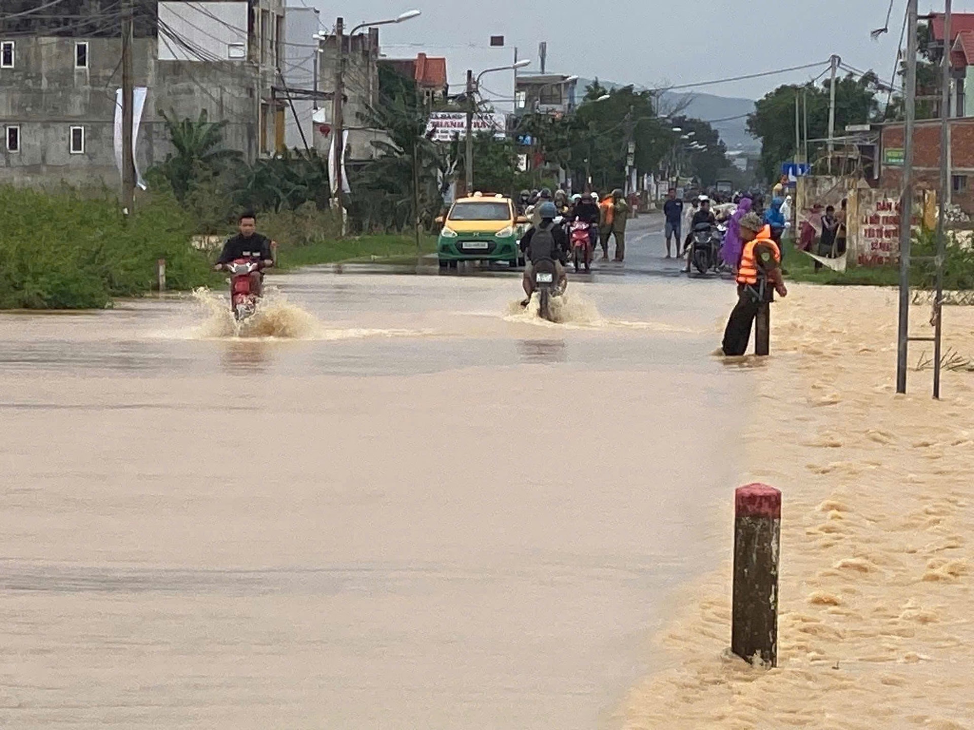 4569143152333966837 (1)