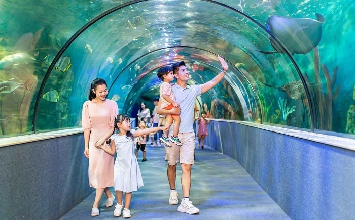 Tô phở bò Hà Nội nóng hổi, hấp dẫn