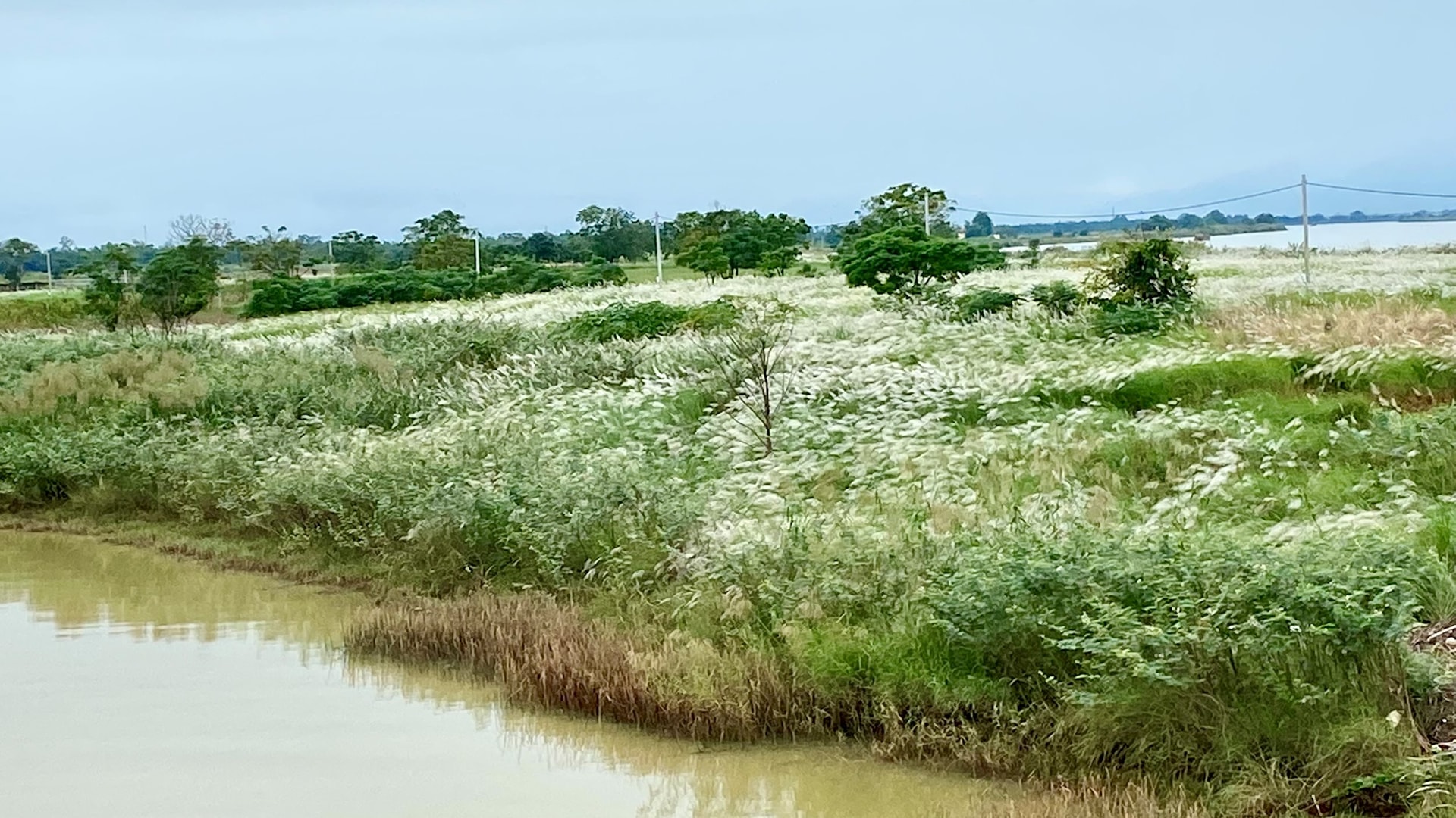 câu lâu 3