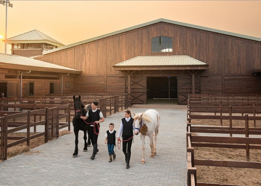 Vinpearl Horse Academy Vũ Yên
