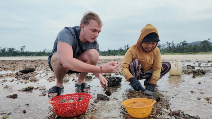 Khách Tây đi du lịch xuống ruộng gặt lúa, kéo cày cùng nông dân trên đảo Cô Tô - 8