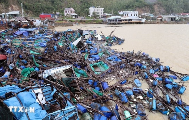 media.vietnamplus.vn-images-7ebc70d7e557d7e31996b6c102f99827ee9621d649c29e58f3053dd6c80d74303347e668b74b4de96e43d969dfc3d33b-_ttxvn-d-l-7-resize(1).jpg