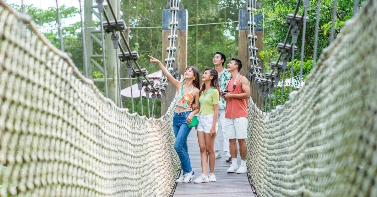Du khách tham quan và tương tác với động vật tại Vinpearl Safari Phú Quốc.