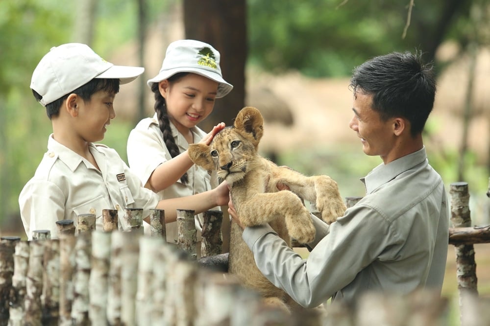 Các bạn nhỏ tìm hiểu động vật tại Vinpearl Safari Phú Quốc
