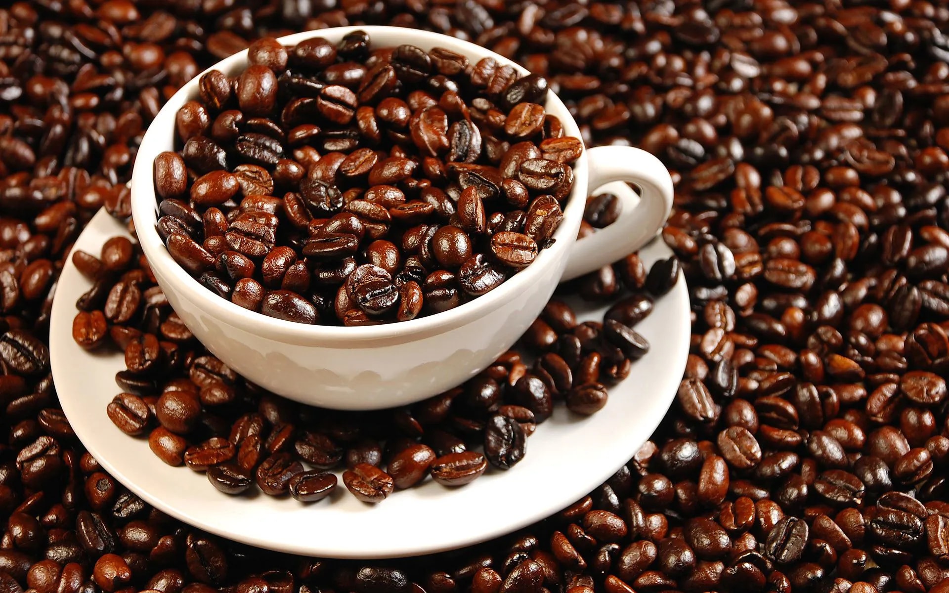 Giá cà phê hôm nay 25/11/2025: Robusta giảm sâu, Arabica lập kỷ lục mới