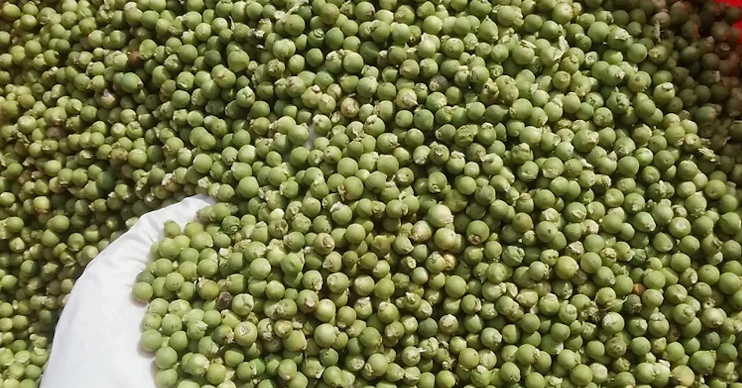 Pepparpris idag 28 november: Exporten ökar dramatiskt