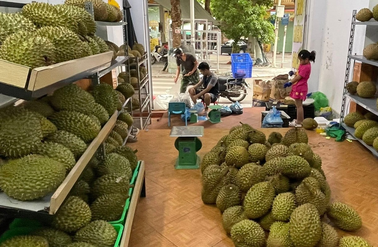 Giá sầu riêng hôm nay 1/12/2025: Xuất khẩu tăng mạnh