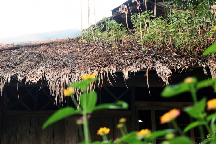 Cuộc sống bình dị của người dân Mường bên những ngôi nhà sàn truyền thống.