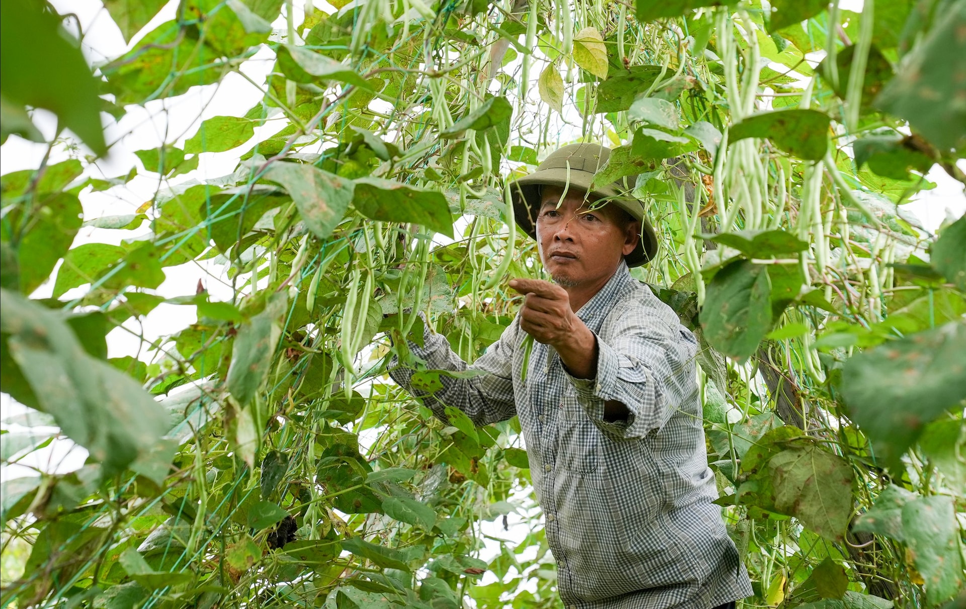 NONG NGHIEP 2