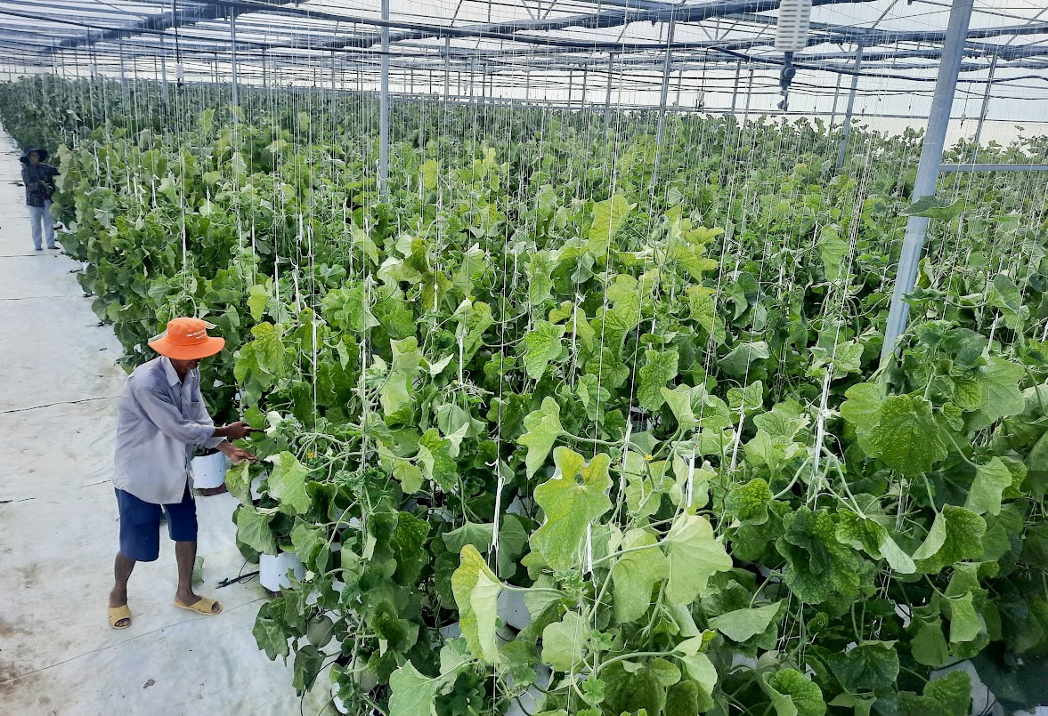 NONG NGHIEP 6