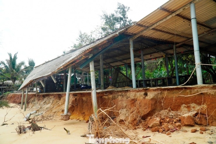 Toàn cảnh bãi biển Hàm Rồng tan hoang với cây cối ngã đổ và bờ biển bị sạt lở.