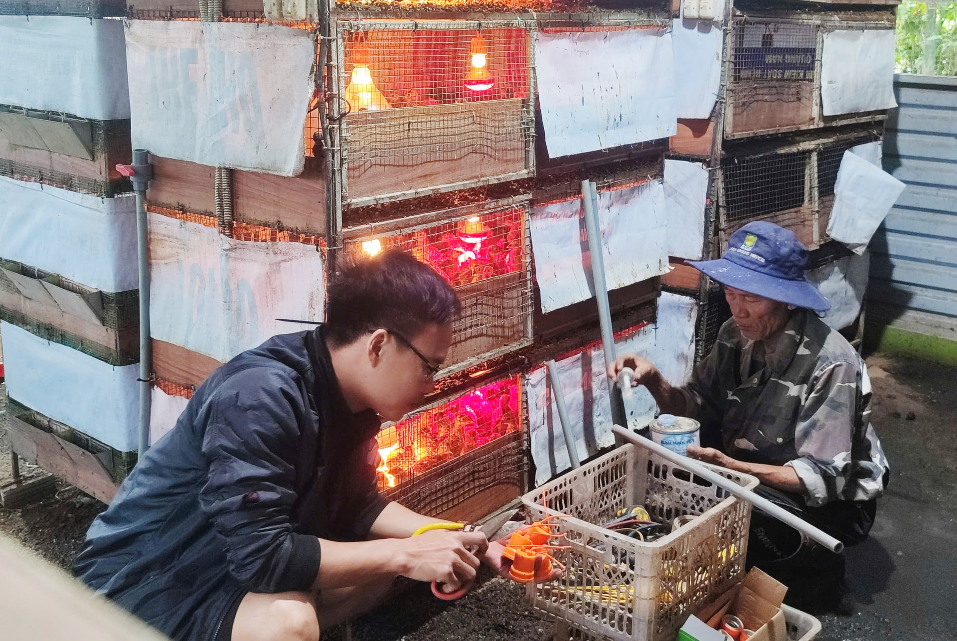 Trang trại của HTX Phú Bình thay đổi phương thức chăn nuôi đảm bảo an toàn nguồn cung cho thị trường