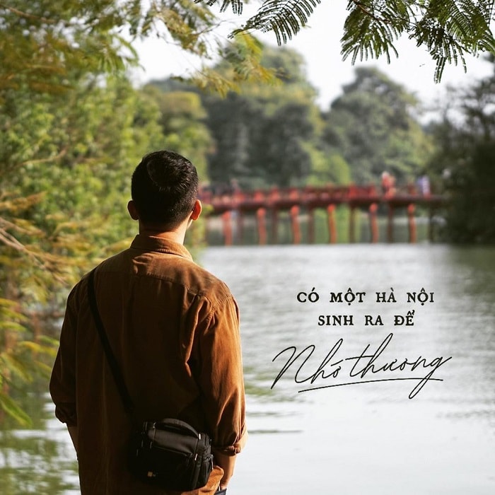 Những cây hoa mận nở trắng xóa trên một sườn đồi ở Mộc Châu