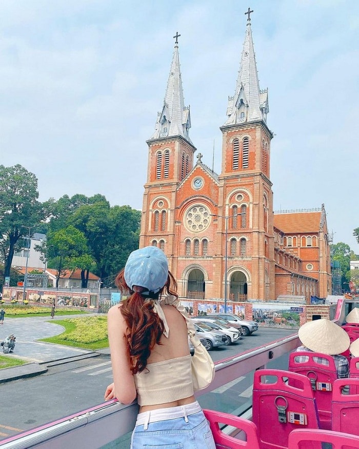 Cánh đồng hoa cúc rực rỡ tại làng hoa Sa Đéc