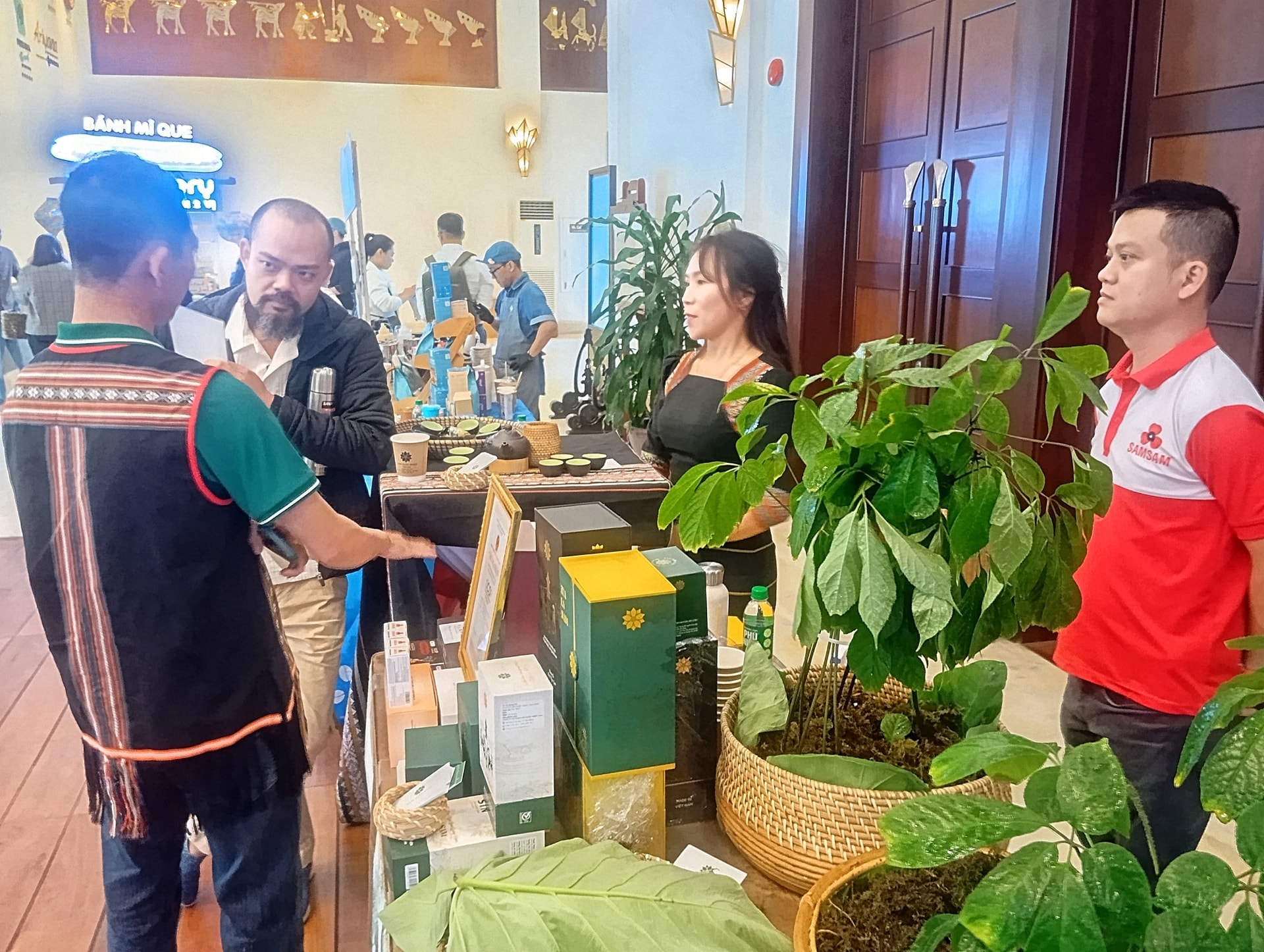 Hợp tác xã Du lịch nông nghiệp dược liệu Trà Tập quảng bá sản phẩm từ sâm Ngọ