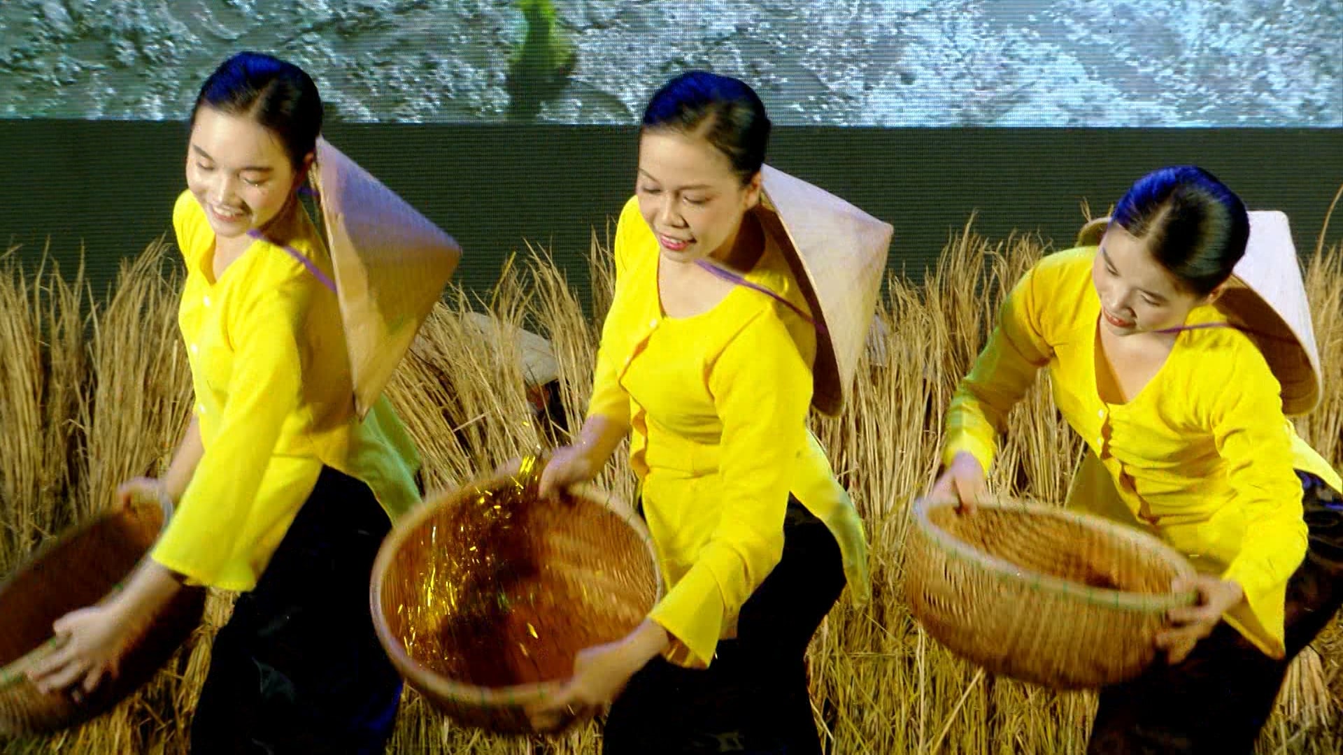 Hương lúa