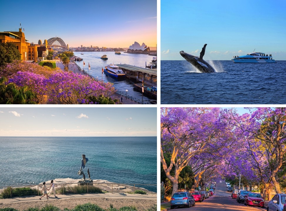 Một đoạn đường đi bộ ven biển nối giữa Bondi và Coogee với những vách đá hùng vĩ.