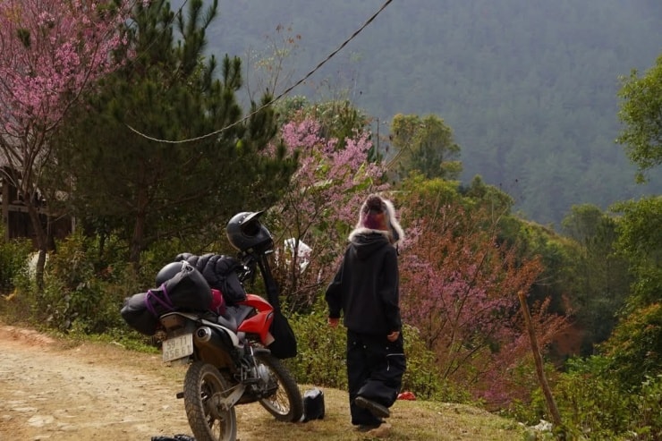 Khung cảnh Mù Cang Chải thơ mộng trong mùa hoa đào rừng.