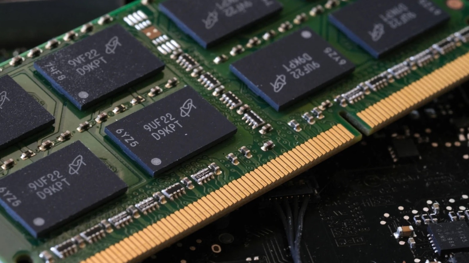 chip1.jpg