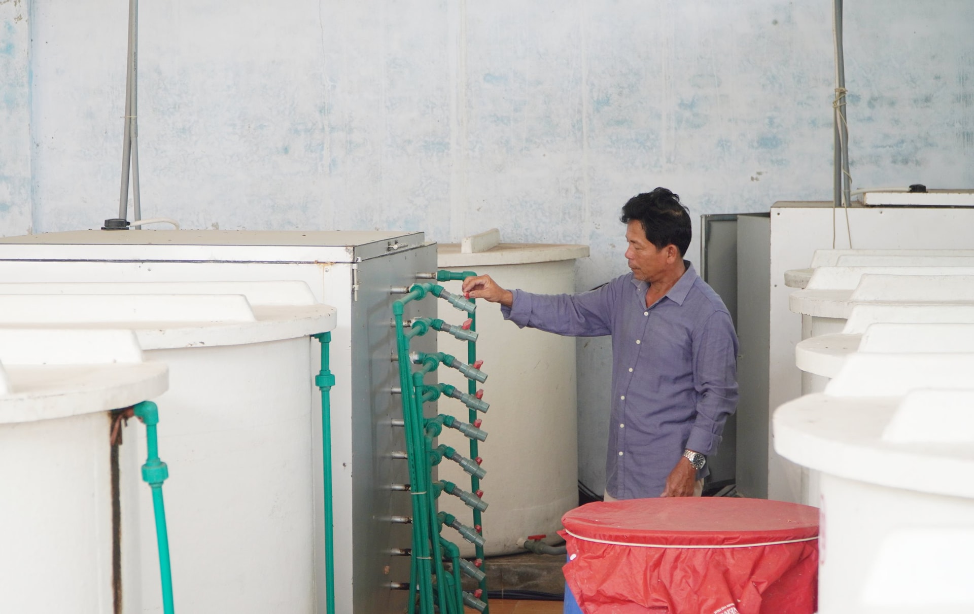 Projektet omfattar 20 kompositjäsningstankar, med en total investering på cirka 2,6 miljarder VND från fisksåskooperativet Hai Hien.