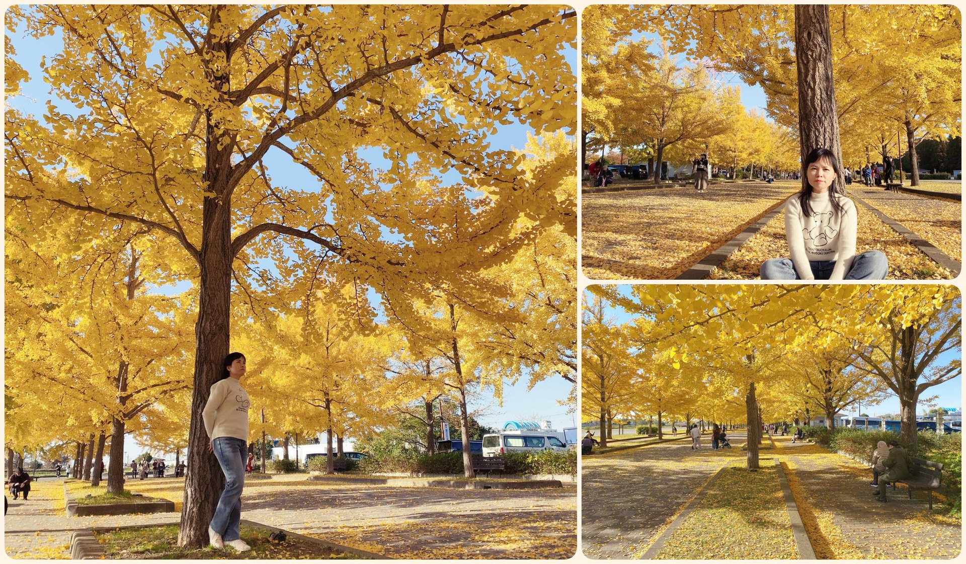 Đây được coi là thời điểm đẹp nhất năm để ngắm lá vàng tại Kazo Hanasaki Water Park.