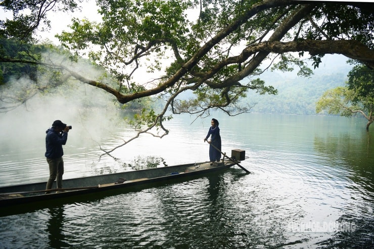 Cây rừng chuyển lá khoe sắc vàng – cam nổi bật trên nền vách núi đá vôi.