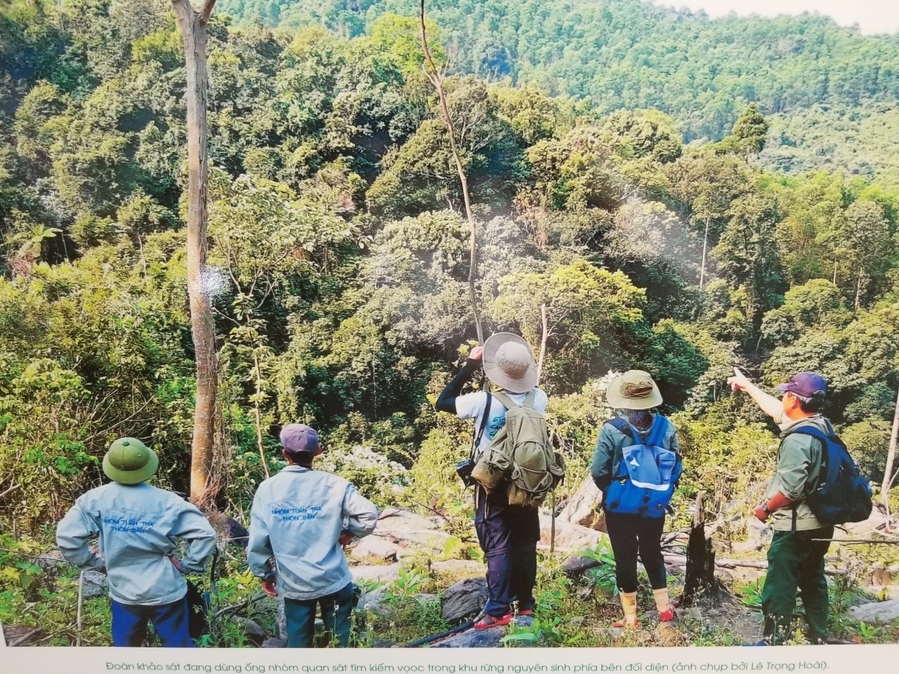 Nơi sinh sống vooc chà vá ở Tam Mỹ. Ảnh VĂN PHIN