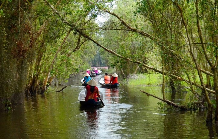 Đến làng nổi Tân Lập, du khách có cảm giác trở về với thiên nhiên, với sự mộc mạc và bình yên vốn sẵn trong tâm hồn mỗi người.