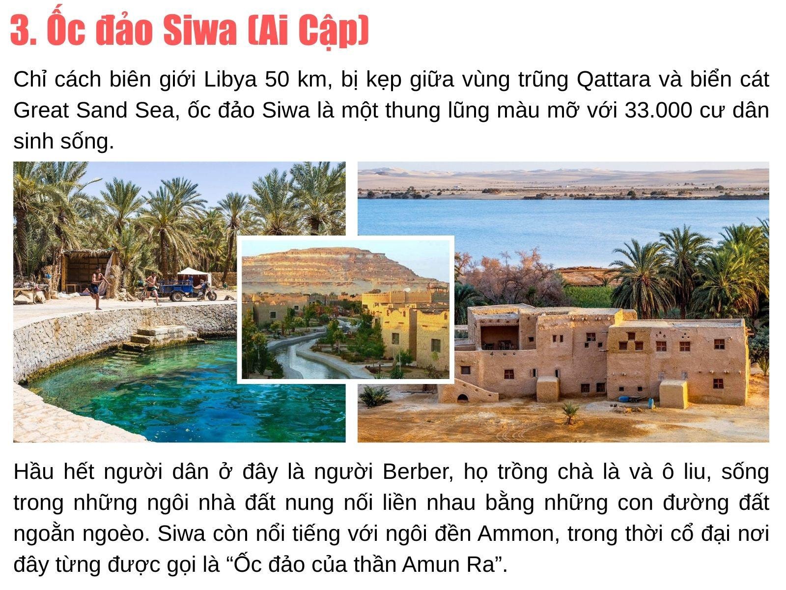 Những rặng cọ xanh mướt mọc lên từ khe núi đá tại ốc đảo Chebika, Tunisia.