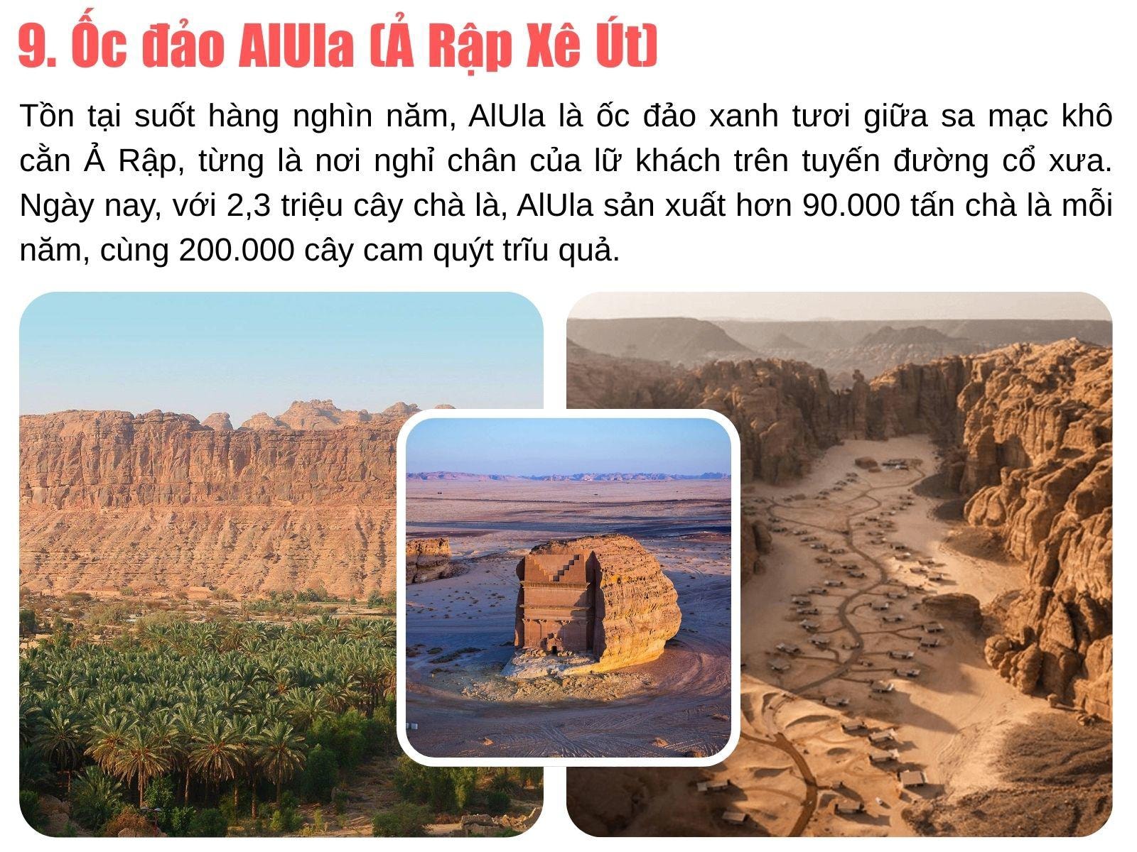 Những rặng cọ và cây cối xanh tươi mọc bên cạnh một cấu trúc đá độc đáo tại ốc đảo Timia, Niger.