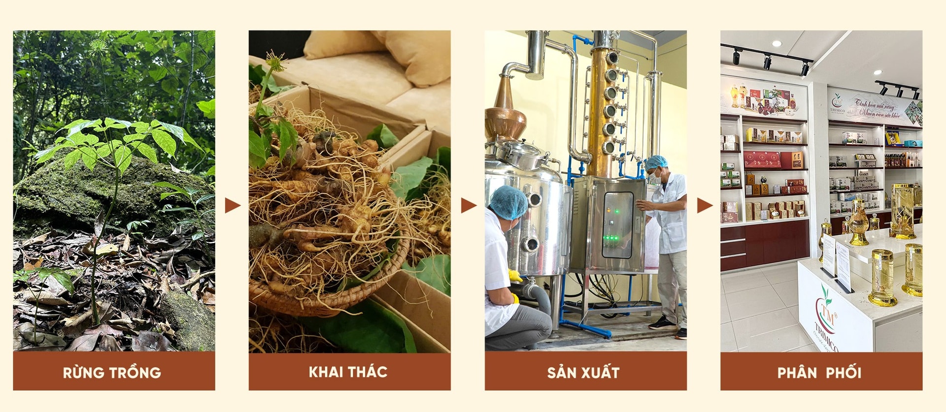 ដំណើរការបិទជិតរបស់ក្រុមហ៊ុន Triet Minh Co., Ltd. រូបថត៖ ផ្តល់ដោយក្រុមហ៊ុន។