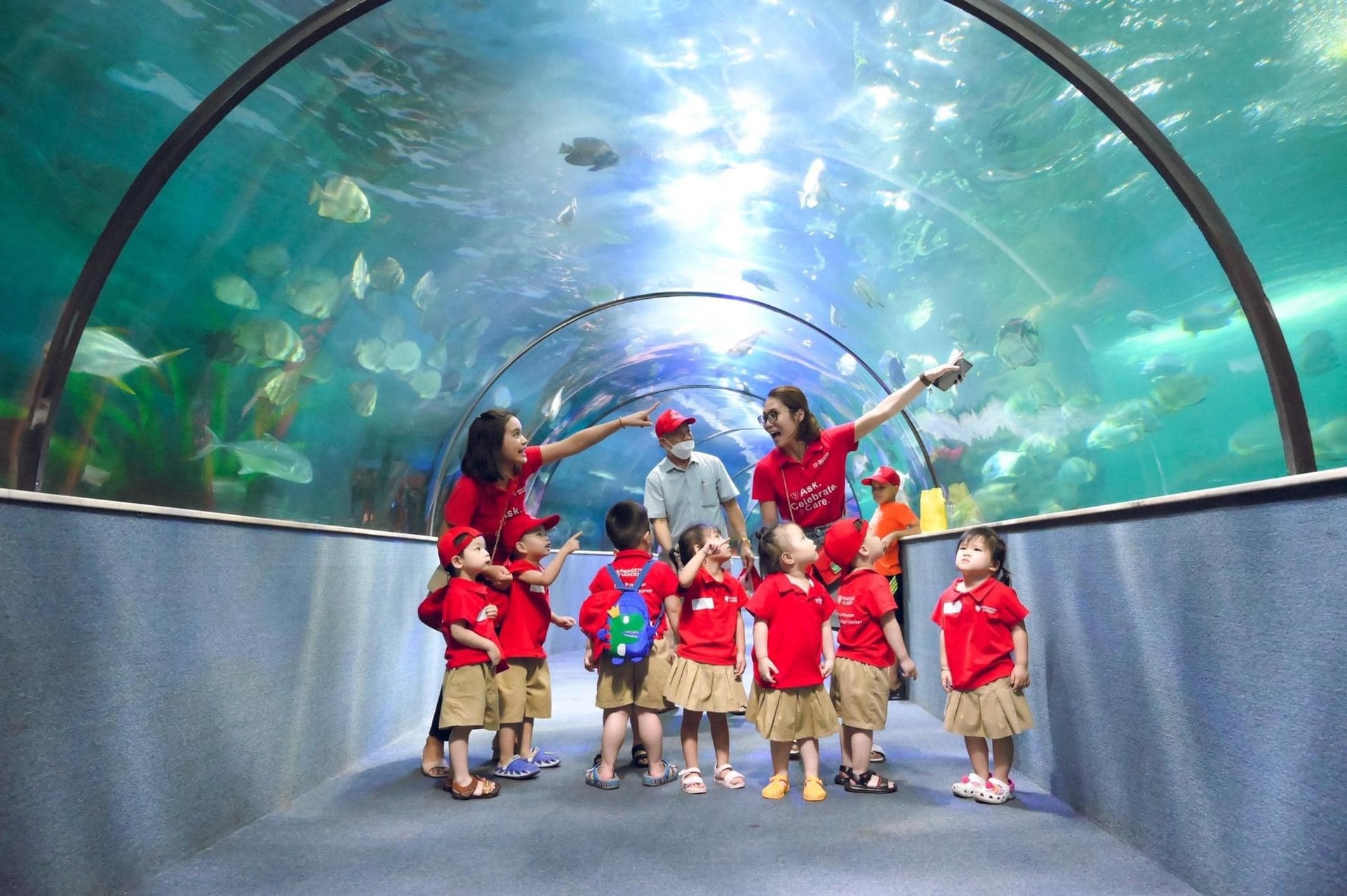 Khám phá thế giới đại dương tại thủy cung Vinpearl Aquarium Times City