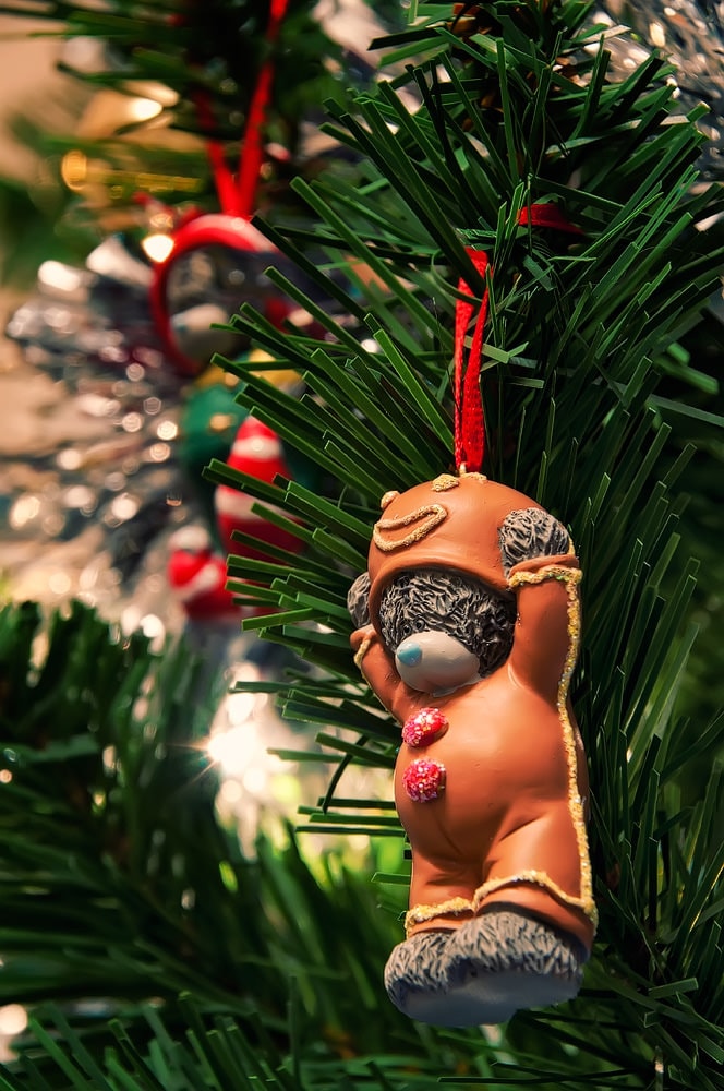 Chụp ảnh quả châu Giáng sinh: Cây thông Noel