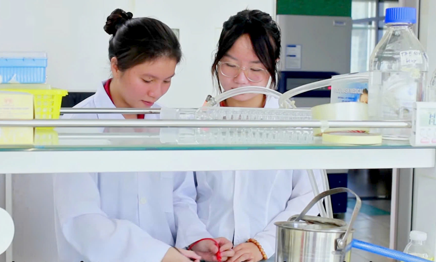 ក្រុមនិស្សិតមួយក្រុមមកពីវិទ្យាស្ថានស្រាវជ្រាវ និងបណ្តុះបណ្តាលវៀតណាម-ចក្រភពអង់គ្លេស នៃសាកលវិទ្យាល័យដាណាំង បានបង្កើតគម្រោងកញ្ចក់បៃតង។