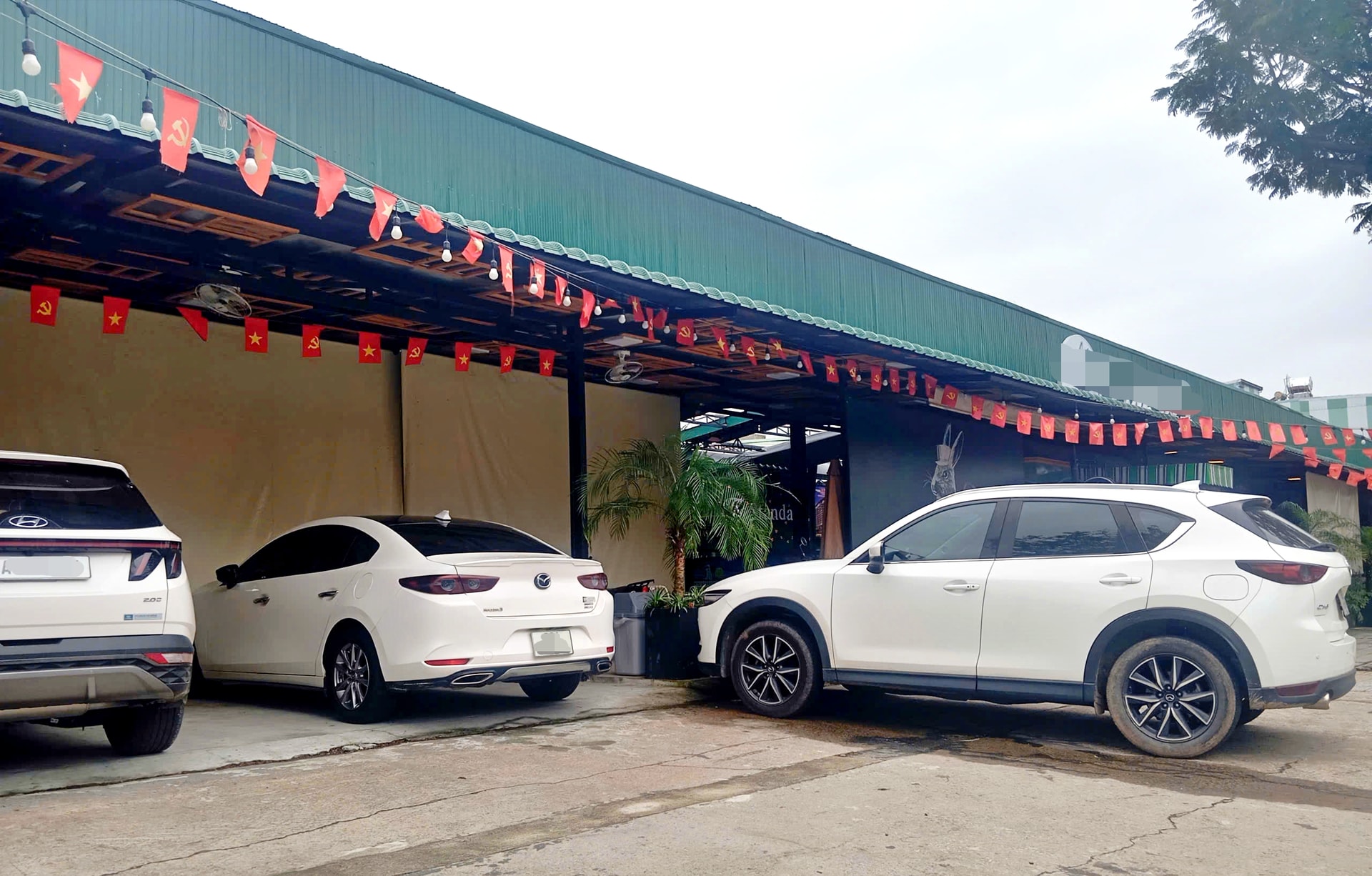 Một ân pickleball trên đường Lê Đại Hành (phường Cẩm Lệ). Ảnh: LÂM VIÊN 