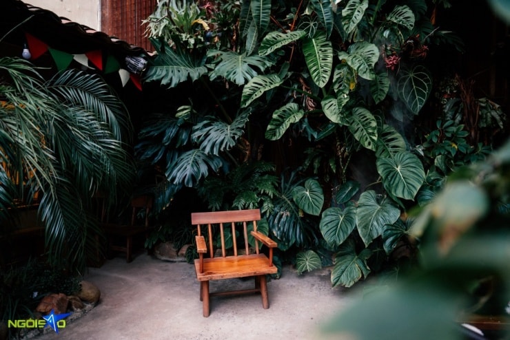 Góc vườn phun sương mờ ảo tạo hiệu ứng thị giác bắt mắt