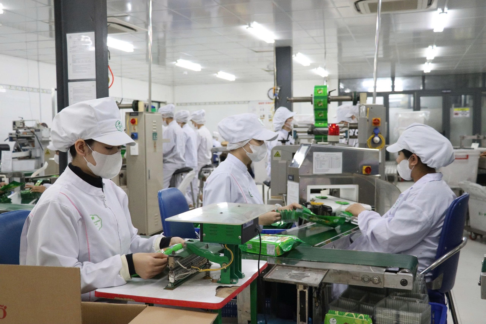 Bên cạnh nâng cao chất lượng sản phẩm, Công ty TNHH Mỹ Phương Food tham gia kênh thương mại điện tử xuyên biên giới để đẩy mạnh xuất khẩu.