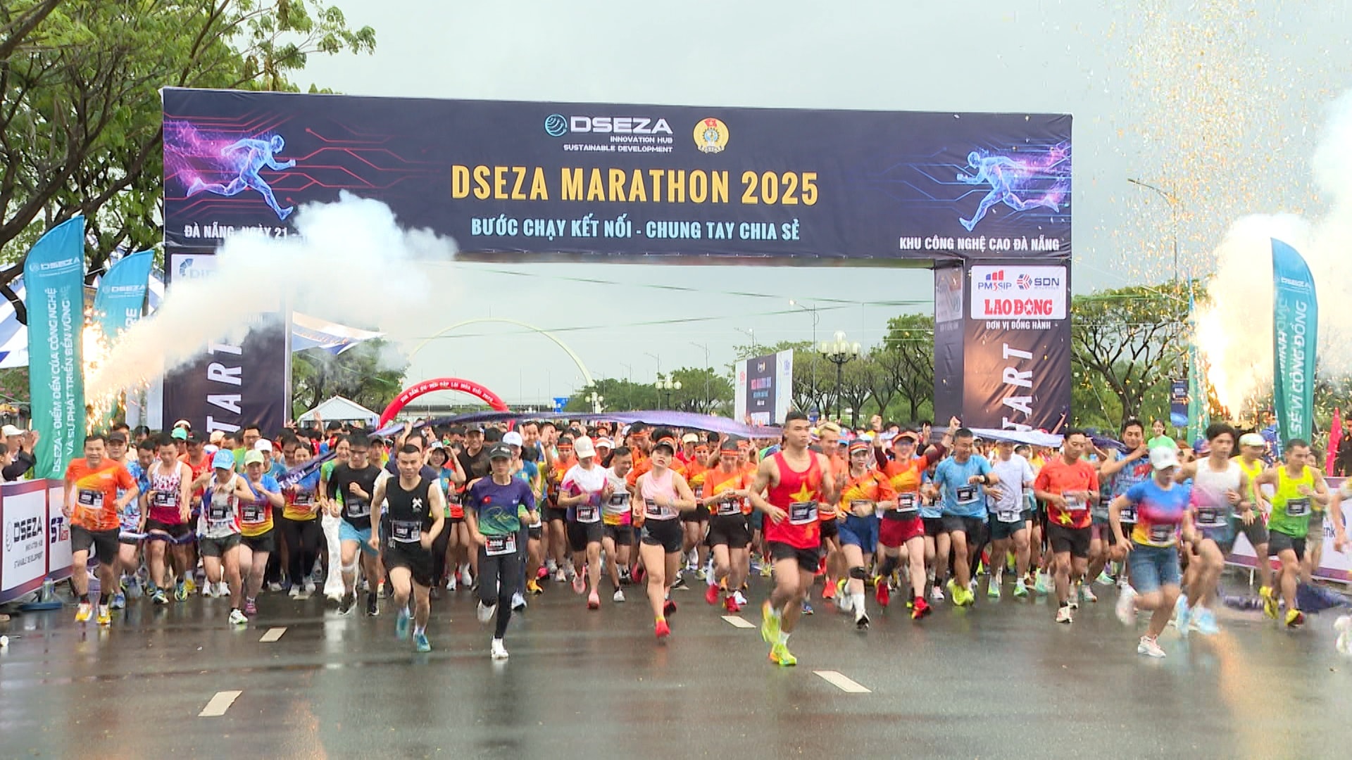 dseza5.jpg
