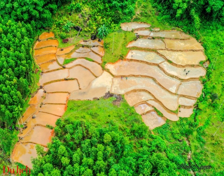 Vẻ đẹp hoang sơ của ruộng bậc thang Quảng Ngãi