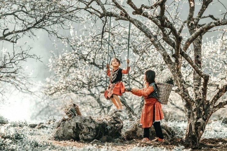 Việt Nam là điểm đến mùa đông hấp dẫn nhờ sự đa dạng về khí hậu và văn hóa