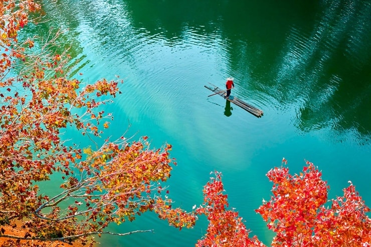 Khung cảnh hàng cây lá đỏ buông xuống mặt hồ Bản Viết xanh biếc tạo nên không gian thơ mộng.