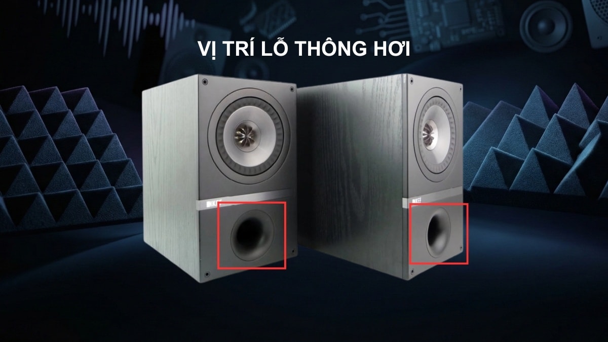 Vị trí lỗ thông hơi trên loa thường nằm ở mặt trước, mặt sau hoặc dưới đáy thùng.